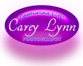 Carey Lynn Photography entry by F ective D zine