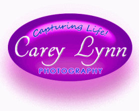 Carey Lynn Photography entry by F ective D zine