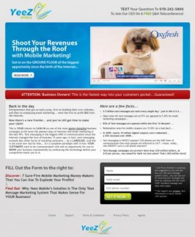 SMS Text Message for Business site entry by chaka42