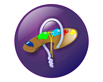 Logo Design entry 245117 submitted by codys_customs