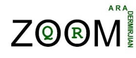 QRZOOM.com entry by @driansen