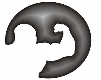 Logo Design entry 250404 submitted by rokis