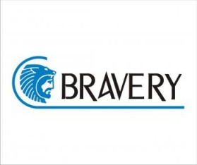 BraveryInc.com entry by rokis
