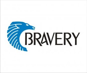 BraveryInc.com entry by rokis