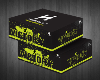 Graphic Design for Hostile Creations