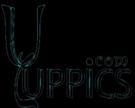 Yuppics.com entry by r0bb1e-design