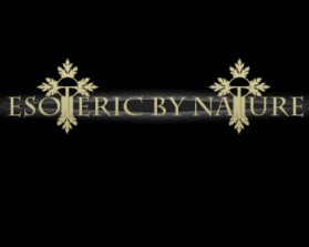 Logo Design entry 270584 submitted by joewzy