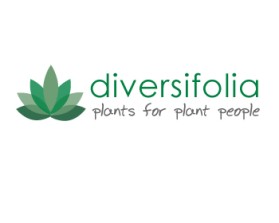 Logo Design entry 282427 submitted by DSD-Pro to the Logo Design for DIVERSIFOLIA LLC run by jmveil