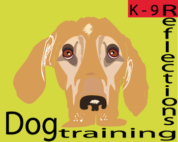 Logo Design entry 285002 submitted by giulia Carol