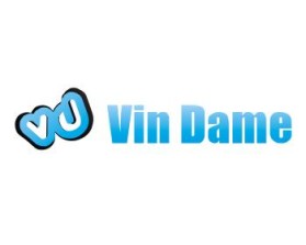 Vin Dame LLC entry by salman1593