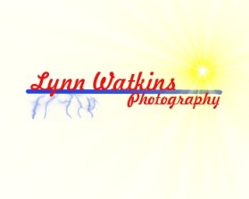 www.lynnwatkinsphotography.com entry by dragonenero