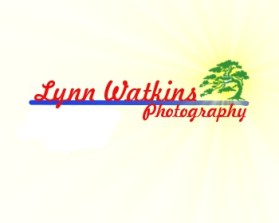 www.lynnwatkinsphotography.com entry by dragonenero