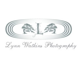 www.lynnwatkinsphotography.com entry by dragonenero