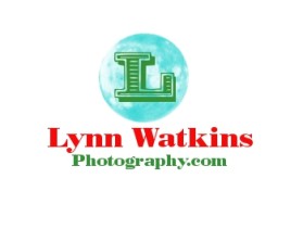 www.lynnwatkinsphotography.com entry by dragonenero