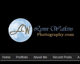 www.lynnwatkinsphotography.com entry by dragonenero