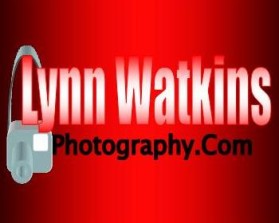 www.lynnwatkinsphotography.com entry by ckris-angel