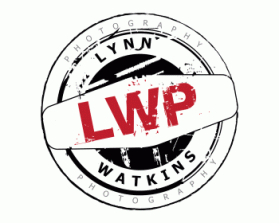 www.lynnwatkinsphotography.com entry by glassfairy