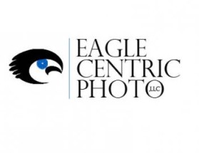 Eagle Centric Photo entry by jake400