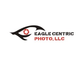 Eagle Centric Photo entry by Unclet
