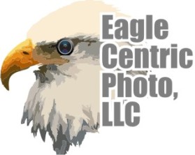 Eagle Centric Photo entry by Sarcastiec