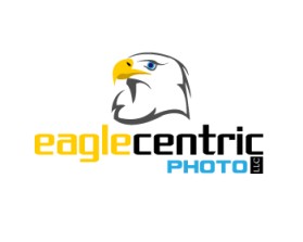 Eagle Centric Photo entry by greycrow