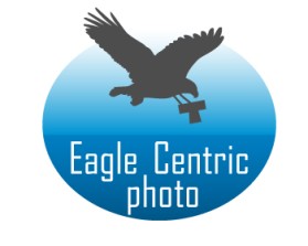 Eagle Centric Photo entry by F ective D zine