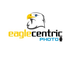 Eagle Centric Photo entry by greycrow
