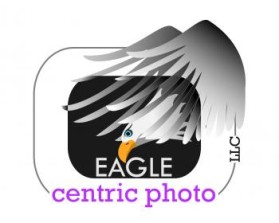 Eagle Centric Photo entry by adityaraj_jain
