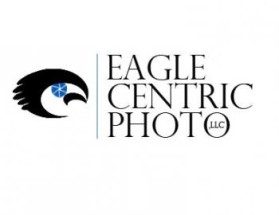 Eagle Centric Photo entry by jake400