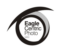 Eagle Centric Photo entry by nehdesign