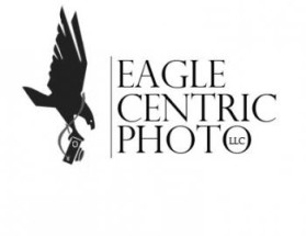 Eagle Centric Photo entry by jake400