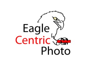 Eagle Centric Photo entry by F ective D zine