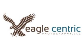 Eagle Centric Photo entry by HisEye4Dezign