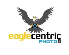 Eagle Centric Photo entry by greycrow