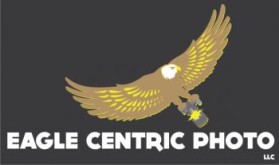 Eagle Centric Photo entry by whiskyray
