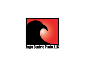 Eagle Centric Photo entry by eZoeGraffix