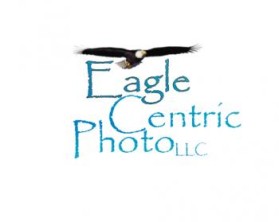 Eagle Centric Photo entry by bL1Nky