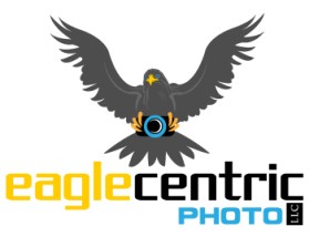 Eagle Centric Photo entry by greycrow