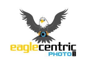 Eagle Centric Photo entry by greycrow
