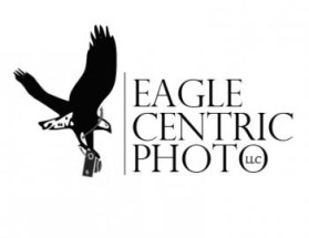 Eagle Centric Photo entry by jake400