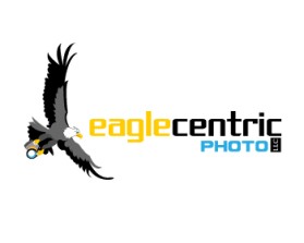 Eagle Centric Photo entry by greycrow