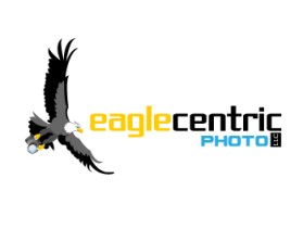 Eagle Centric Photo entry by greycrow