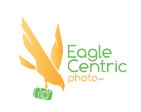 Eagle Centric Photo entry by ZenithDesignLab