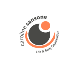 carolinesansone.com entry by AdamDesign