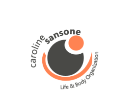 carolinesansone.com entry by AdamDesign