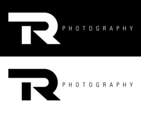 Logo Design entry 304392 submitted by insignificArt