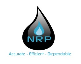 NRP PROJECTS PRIVATE LIMITED  entry by Mespleaux