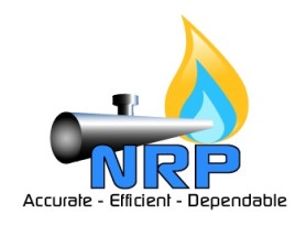 NRP PROJECTS PRIVATE LIMITED  entry by Mespleaux