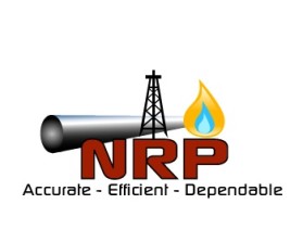 NRP PROJECTS PRIVATE LIMITED  entry by Mespleaux