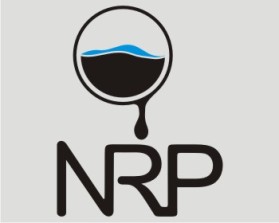 NRP PROJECTS PRIVATE LIMITED  entry by kyo.clock